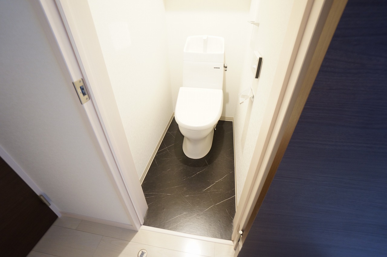 サンシエ南巽のトイレ写真