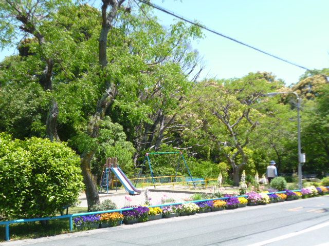 公園　公園（公園）まで10m