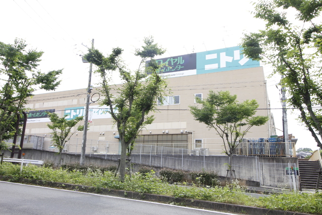 ホームセンター　ロイヤルホームセンター　ロイヤルビックス押熊店（ホームセンター）まで600m