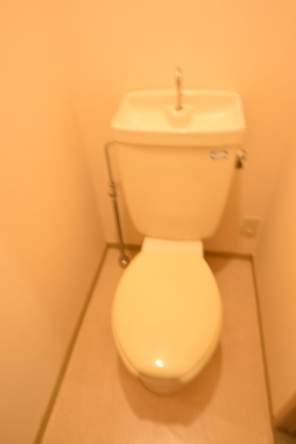 アネックスマルヤマのトイレ写真