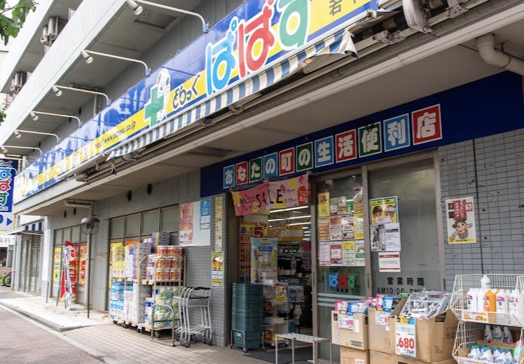ドラックストア　どらっぐぱぱす若林店（ドラッグストア）まで353m