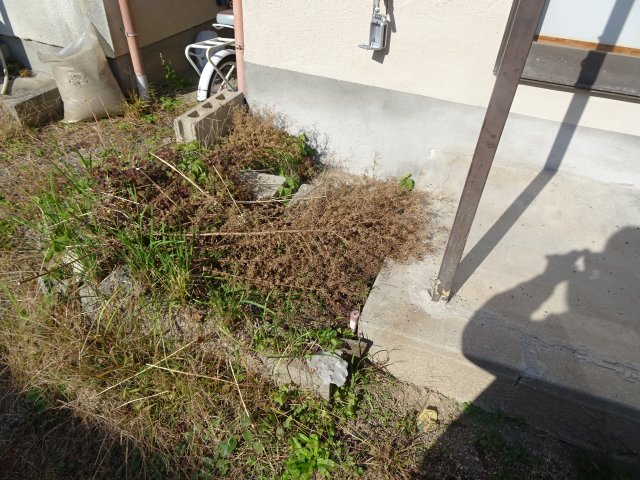 小出 貸家のその他写真
