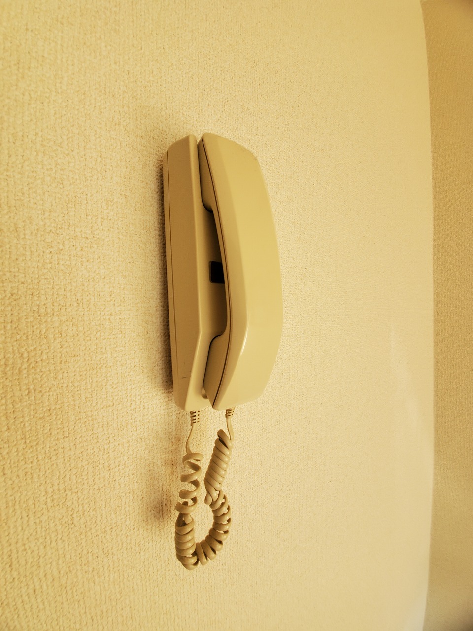 セキュリティ　インターホン※退去前のため、以前の写真を使用しています。