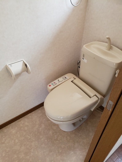 鳥原貸家13のトイレ写真