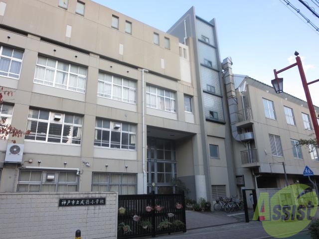 【神戸市灘区桜口町のマンションの小学校】