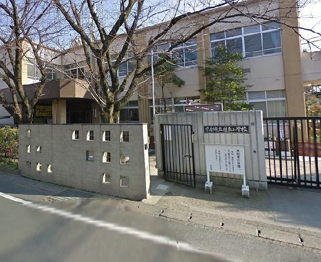 【京都市西京区下津林番条のマンションの小学校】