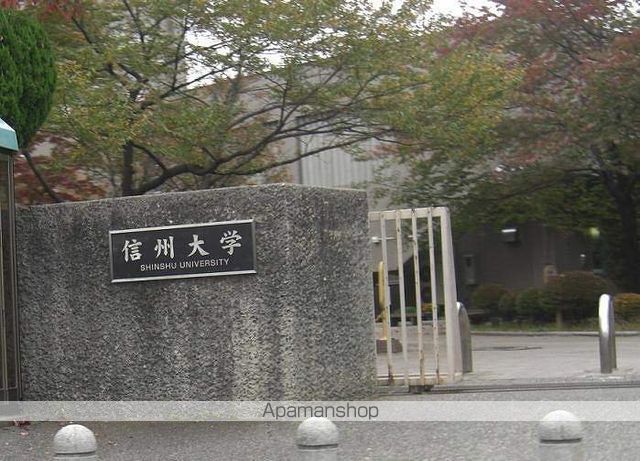 大学・短大　信州大学（大学・短大）まで1072m