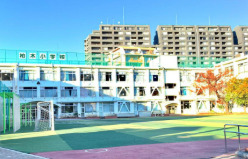 小学校　新宿区立柏木小学校（小学校）まで550m