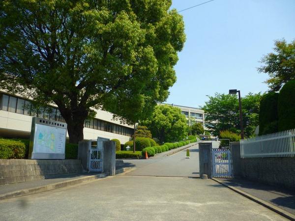 大学・短大　福岡女子大学（大学・短大）まで837m