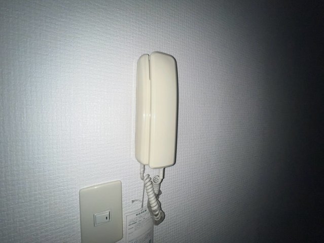 シード1のその他写真