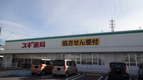 【岡崎市北本郷町のアパートのドラックストア】