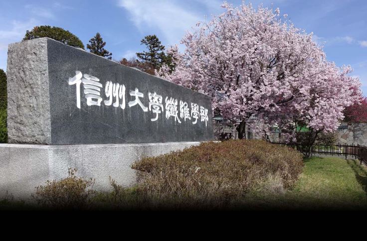 大学・短大　国立信州大学繊維学部（大学・短大）まで604m