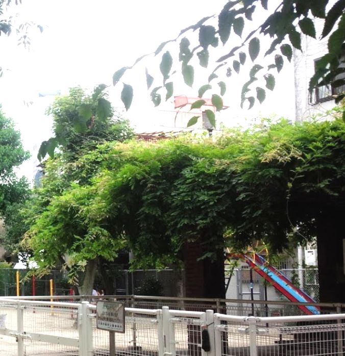 公園　済美公園（公園）まで302m