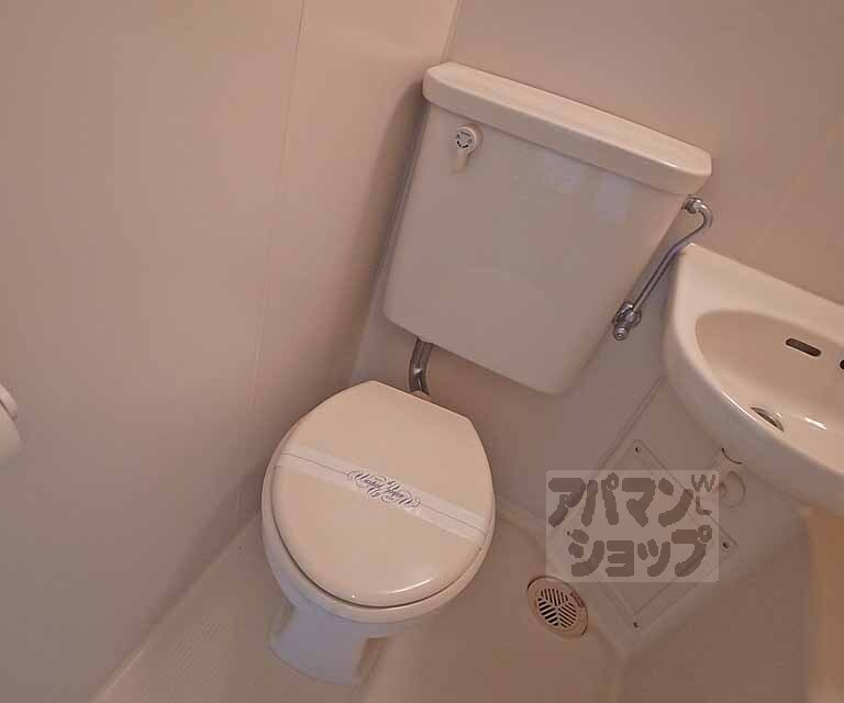 トイレ　トイレです！