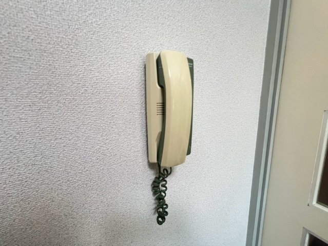 シード1のその他写真