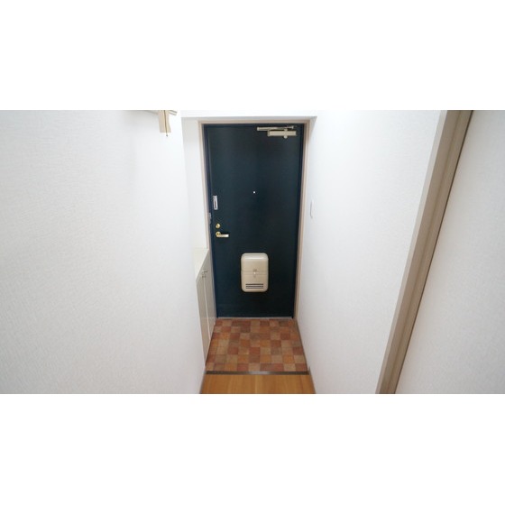 玄関　同仕様タイプ