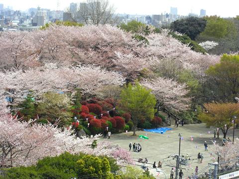 【北区西ケ原のアパートの公園】