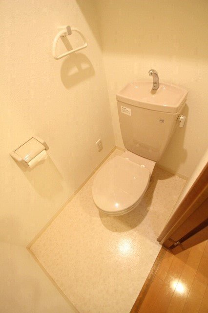 トイレ　同物件、別号室のものです。