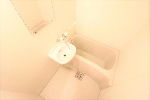 レオパレスタウンディの風呂写真