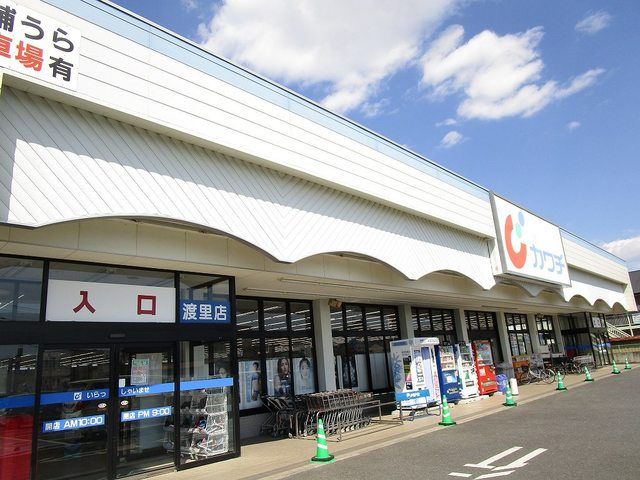 ドラックストア　カワチ薬品　渡里店（ドラッグストア）まで1000m
