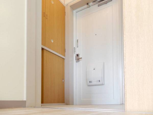 玄関　ビレッジハウスの同一物件・同一タイプの間取りの写真です