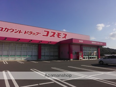 ドラックストア　（株）コスモス薬品／ディスカウントドラッグコスモス鬼崎店（ドラッグストア）まで1319m