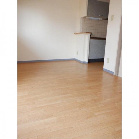 その他　2020.3撮影