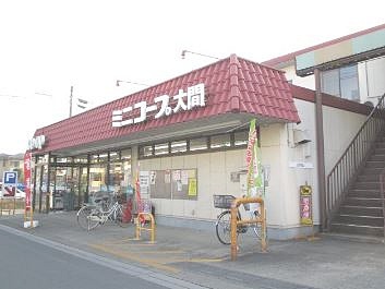 スーパー　ミニコープ大間（スーパー）まで566m