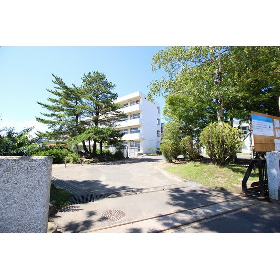 小学校　仙台市立小松島小学校（小学校）まで716m