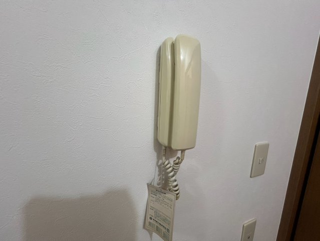 シード1のその他写真