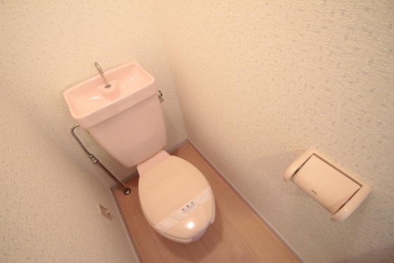 リマーカーブル己斐のトイレ写真