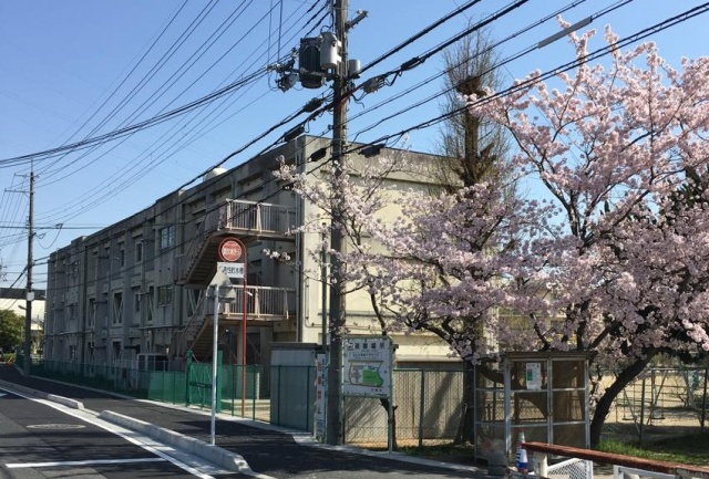 【ヴィラナリー石山寺IIの小学校】