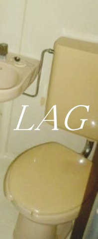 トイレ　トイレ（同仕様）です。