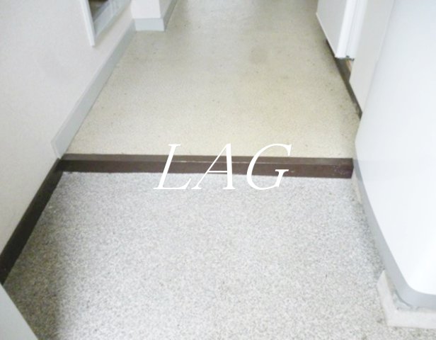 玄関　玄関（同仕様）です。