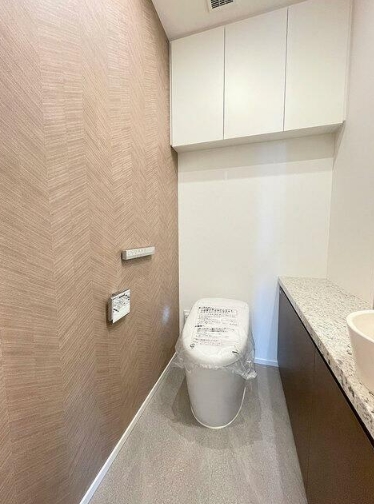 トイレ　他部屋参考写真です。