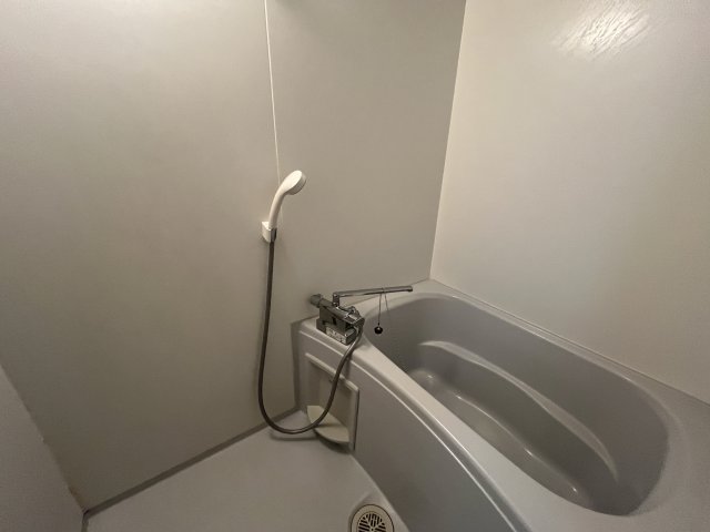 レオパレスセラフIの風呂写真