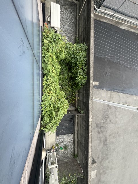 レオパレスセラフIの内装写真