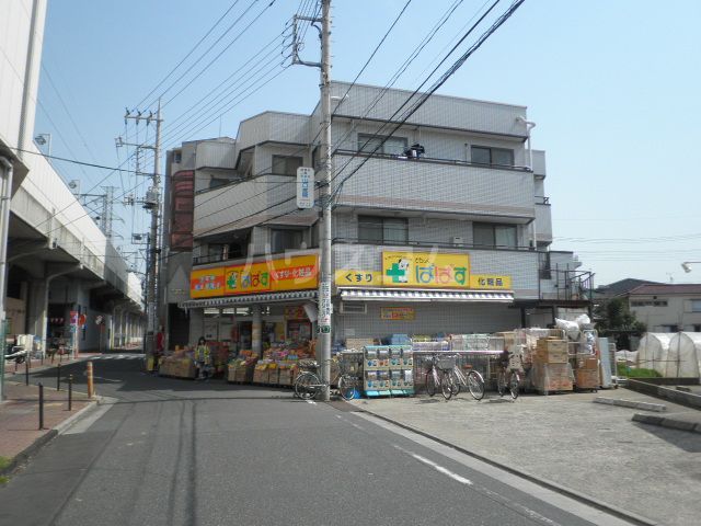 ドラックストア　どらっぐぱぱす新柴又店（ドラッグストア）まで421m