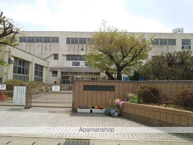 小学校　松戸市立南部小学校（小学校）まで266m