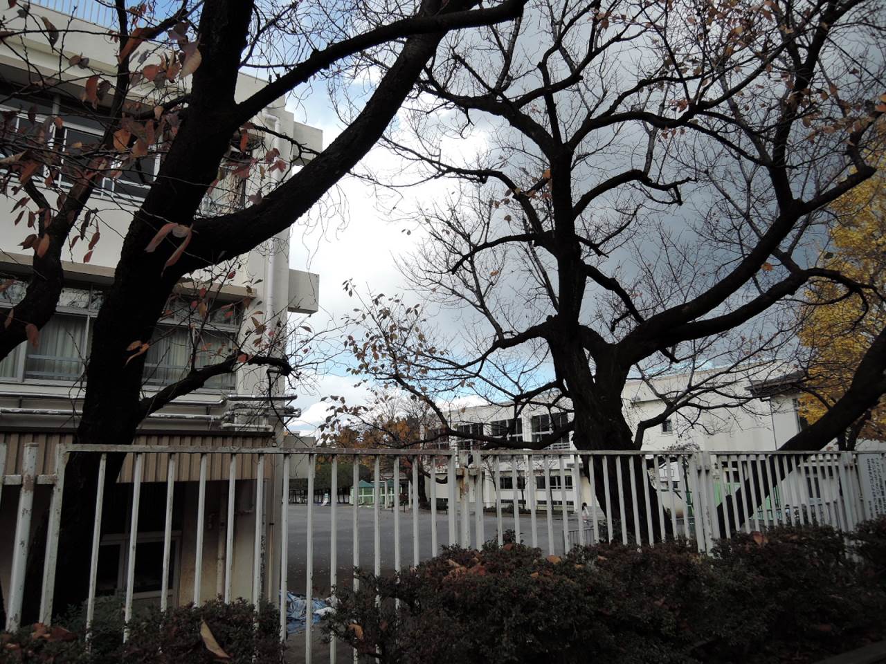 小学校　志村第3小学校（小学校）まで429m