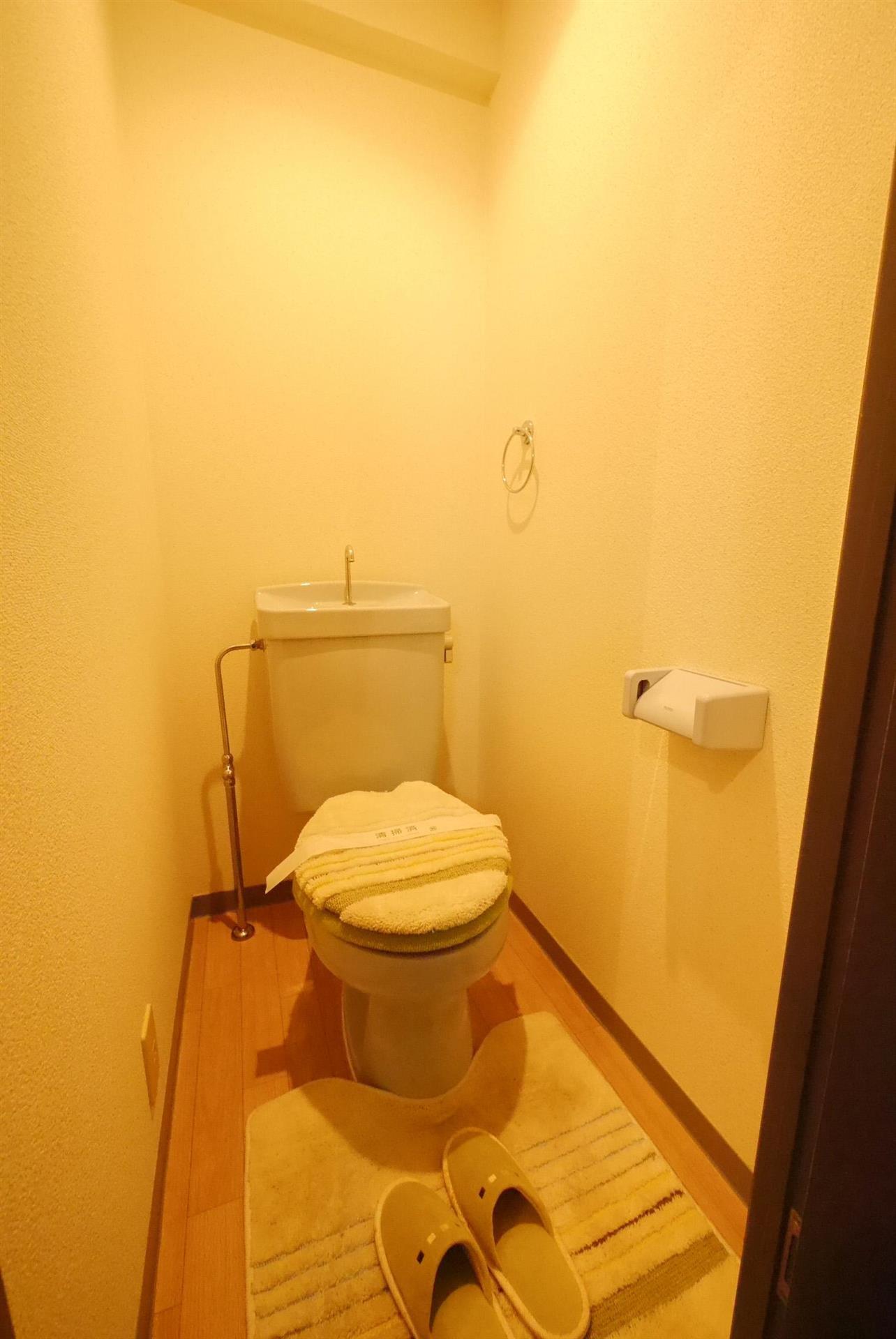 ウインズ浅香Iのトイレ写真