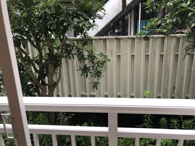 水山ハイツB棟のその他写真