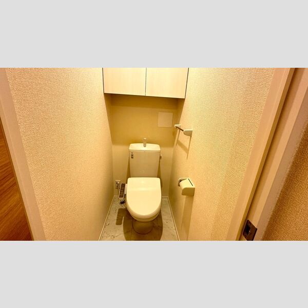 Morey Saint Denisのトイレ写真