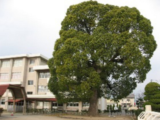 【岡山市東区益野町のアパートの小学校】