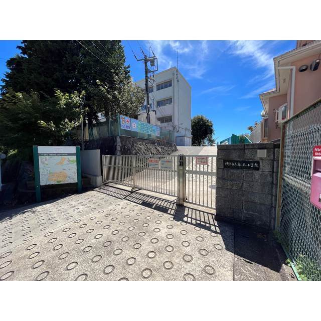小学校　横浜市立谷本小学校（小学校）まで553m