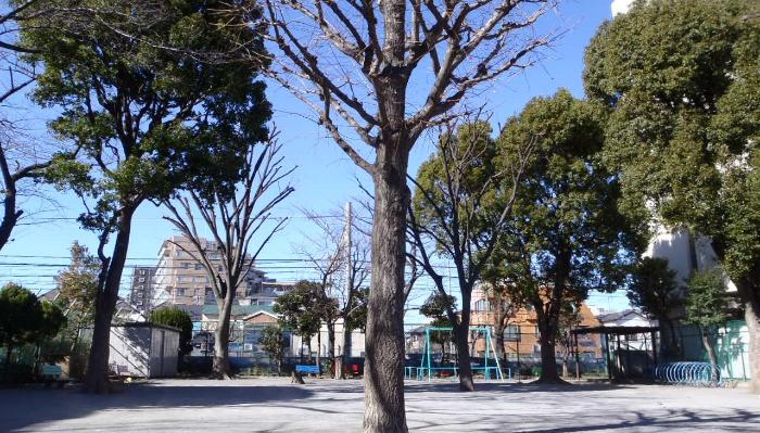 公園　大森西七丁目公園（公園）まで677m