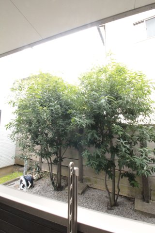 眺望　別室参考写真　ヴィラロイヤル滝野川　北区滝野川1