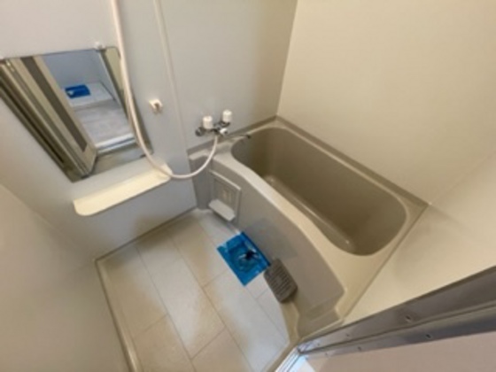 バス・シャワールーム　※別部屋の写真です