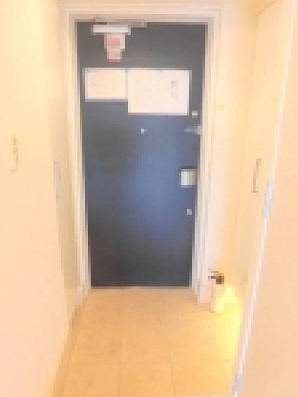 玄関　※同仕様写真