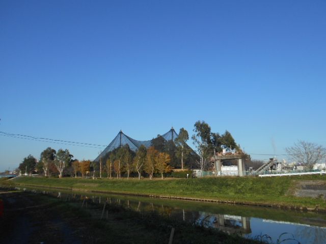 公園　キャンベルタウン野鳥の森（公園）まで572m